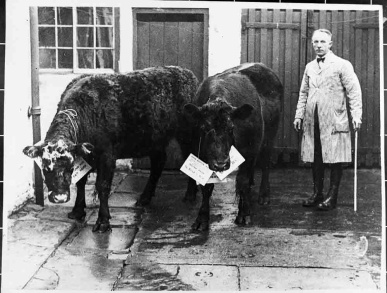 Harrison's Butchers, Finkle Street