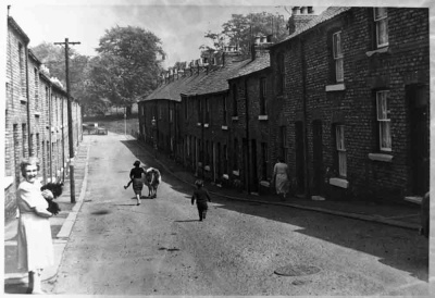 Mrs Ellis's cow escapes, Lickley Street