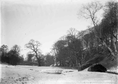 Ripon, snow covered field