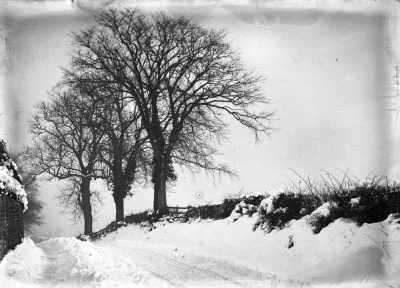 Ripon, snow covered road