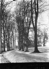 Ripon, snow covered track