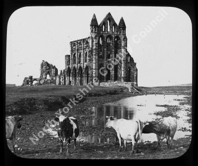 Whitby Abbey from South East
