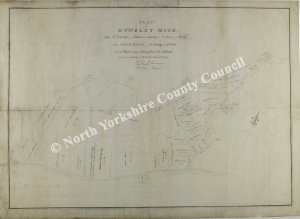 Historic map of Newholm cum Dunsley 1793