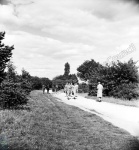 Harlow Carr, Harlow Moor and Pine Woods