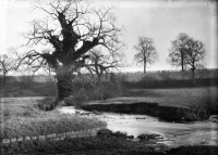 Ripon, field and river