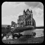 Whitby Abbey from East