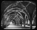 Fountains Abbey Cloisters